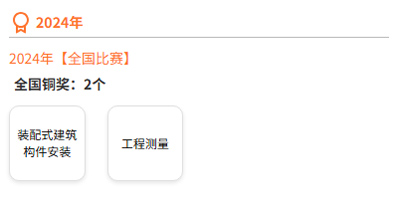 示例-中职学校在全国职校技能大赛的获奖明细